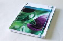 Cadernos Personalizado - 10BRCPE4C